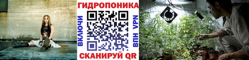как найти закладки  Киров  Канабис AK-47 
